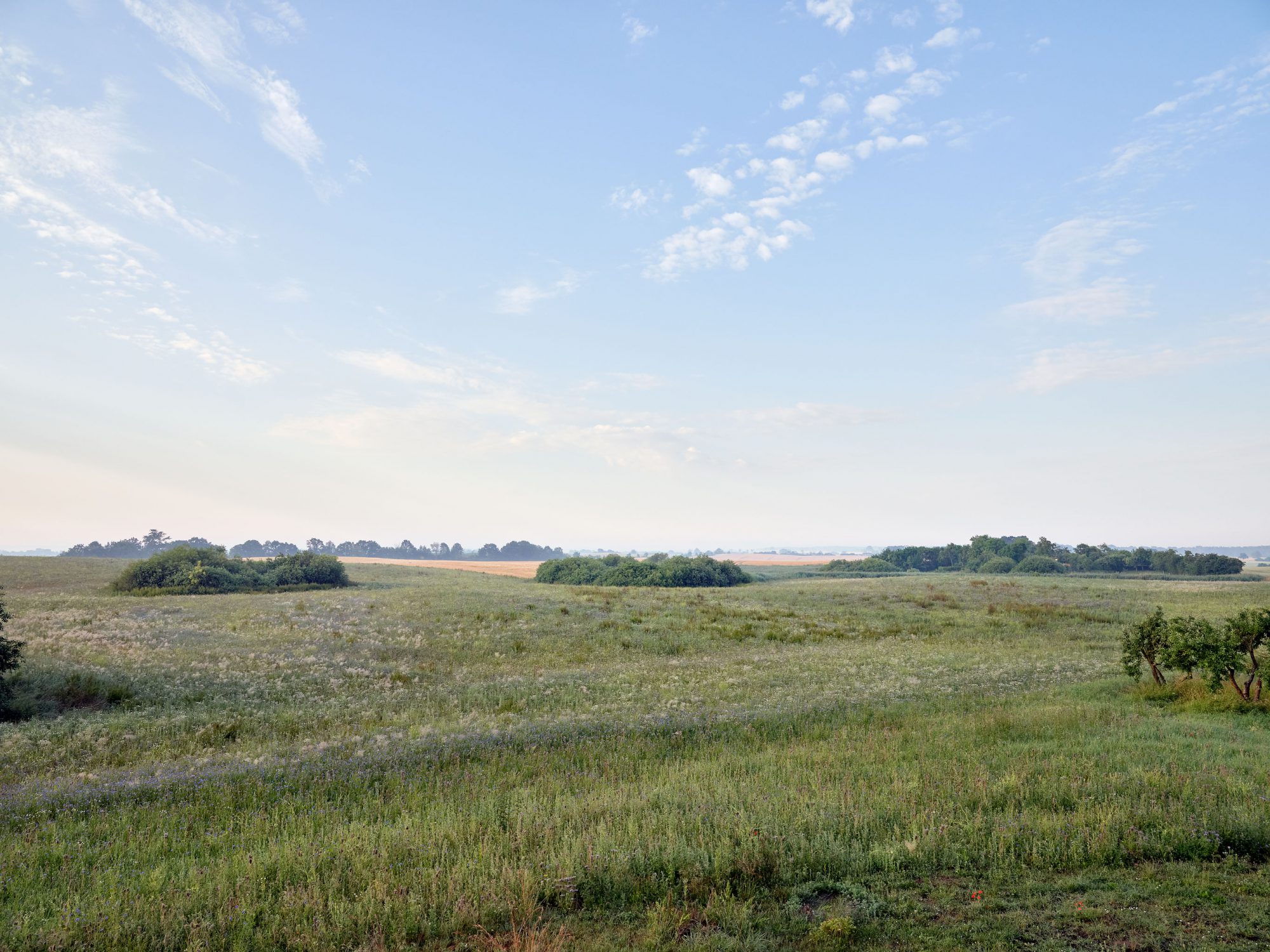 In den Söllen – TKA